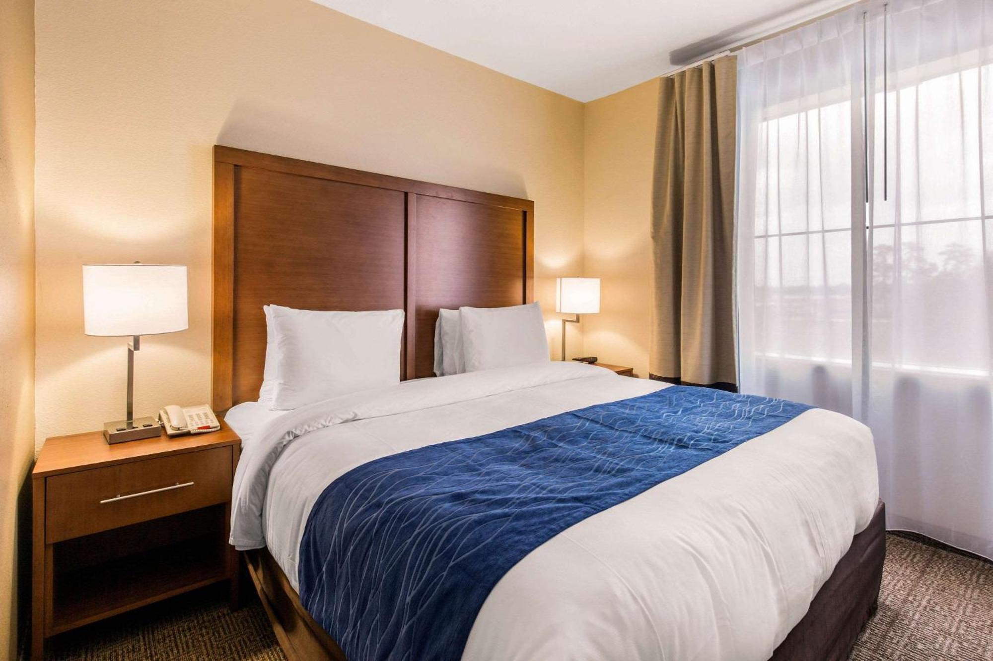 Comfort Inn & Suites Iah Bush Airport - East Humble Ngoại thất bức ảnh